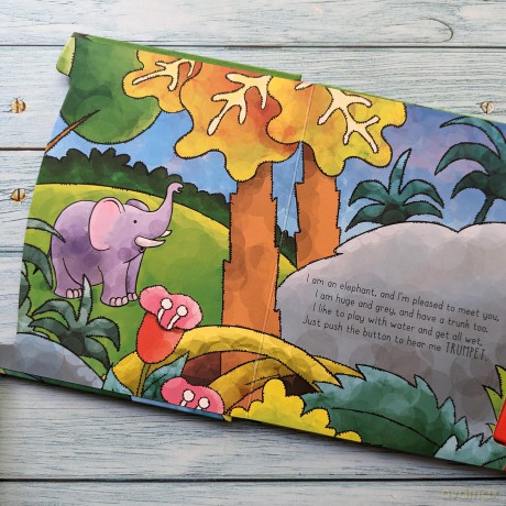 Wild Animals:A Sound Board Book [KSIĄŻKA]