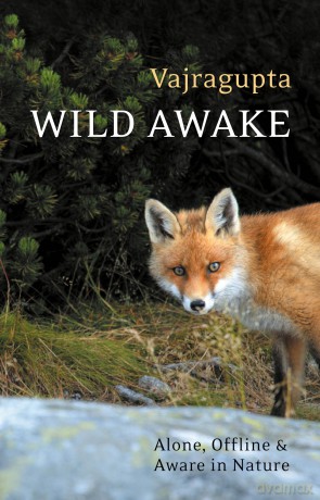Wild Awake: Alone, Offline and Aware in Nature [KSIĄŻKA]