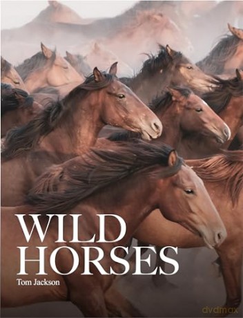 Wild Horses (Animals) - Tom Jackson [KSIĄŻKA]