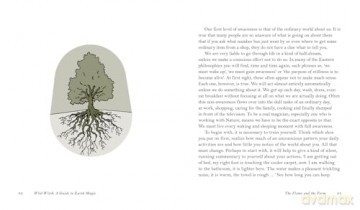 Wild Witch: A Guide to Earth Magic - Marian Green [KSIĄŻKA]