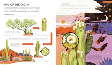 Wildlife in the Balance: The Species that Shape the Earth's Ecosystems: The Species that Shape Earth's Ecosystems - Sharon Wismer [KSIĄŻKA]