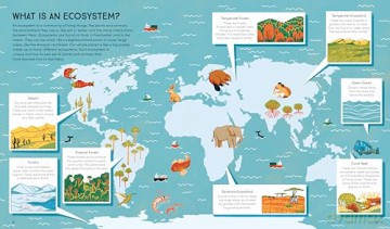 Wildlife in the Balance: The Species that Shape the Earth's Ecosystems: The Species that Shape Earth's Ecosystems - Sharon Wismer [KSIĄŻKA]