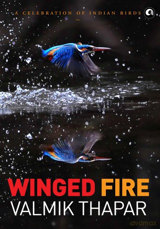 Winged Fire: A Celebration of Indian Birds, Part 3 of The Indian Wildlife Trilogy - Valmik Thapar [KSIĄŻKA]