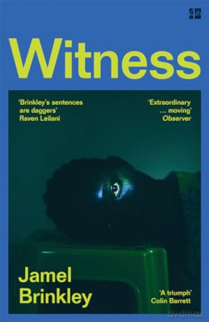 Witness: the stunning new short story collection of families and relationships - 'Brinkley's sentences are daggers' Raven Leilani - Jamel Brinkley [KSIĄŻKA]