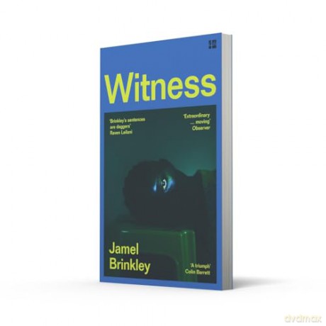 Witness: the stunning new short story collection of families and relationships - 'Brinkley's sentences are daggers' Raven Leilani - Jamel Brinkley [KSIĄŻKA]