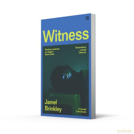 Witness: the stunning new short story collection of families and relationships - 'Brinkley's sentences are daggers' Raven Leilani - Jamel Brinkley [KSIĄŻKA]
