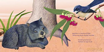 Wombat Can't Sing - Katie Stewart [KSIĄŻKA]
