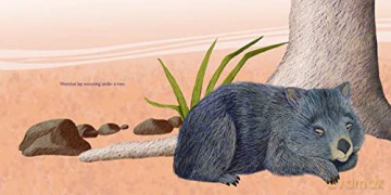 Wombat Can't Sing - Katie Stewart [KSIĄŻKA]