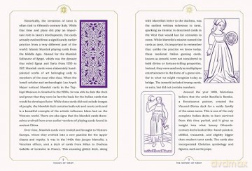 Women of Tarot: An Illustrated History of Divinators, Card Readers, and Mystics - Cat Willett [KSIĄŻKA]