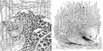 Wondrous Animals: Colour a Kingdom of Creatures (Kerby's Selection) - Kerby Rosanes [KSIĄŻKA]