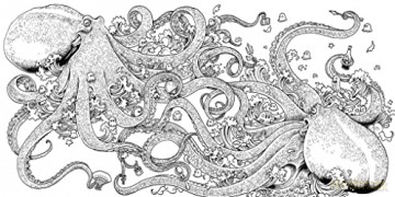 Wondrous Animals: Colour a Kingdom of Creatures (Kerby's Selection) - Kerby Rosanes [KSIĄŻKA]