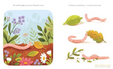 Worms Are Our Friends (Our Friends in the Garden) - Toni D'alia [KSIĄŻKA]