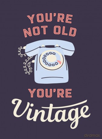 You're Not Old, You're Vintage: Joyful Quotes for the Young At Heart [KSIĄŻKA]
