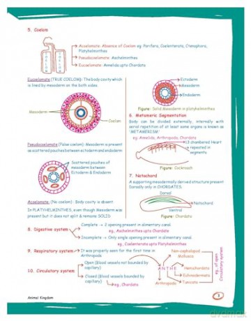 Zoology: Med Easy - Samapti Mahapatra [KSIĄŻKA]