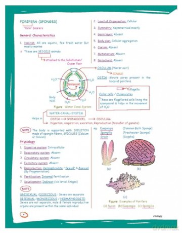 Zoology: Med Easy - Samapti Mahapatra [KSIĄŻKA]