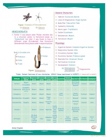 Zoology: Med Easy - Samapti Mahapatra [KSIĄŻKA]