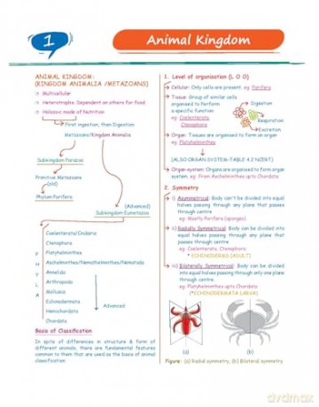 Zoology: Med Easy - Samapti Mahapatra [KSIĄŻKA]