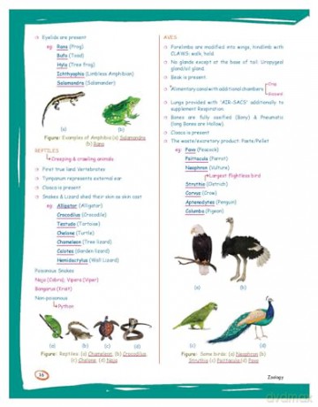 Zoology: Med Easy - Samapti Mahapatra [KSIĄŻKA]