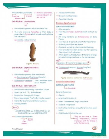 Zoology: Med Easy - Samapti Mahapatra [KSIĄŻKA]