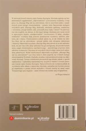 O odpowiedniości wcielenia [KSIĄŻKA]