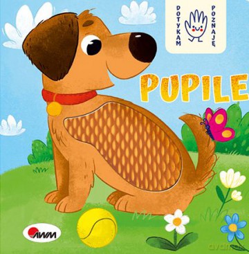 Pupile. Dotykam poznaję - Elżbieta Korolkiewicz [KSIĄŻKA]