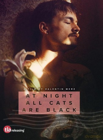 At Night All Cats Are Black (Nocą wszystkie koty są bure) [DVD]