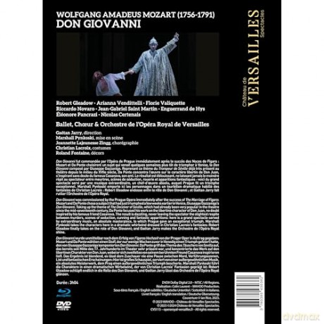 Mozart: Don Giovanni [DVD]