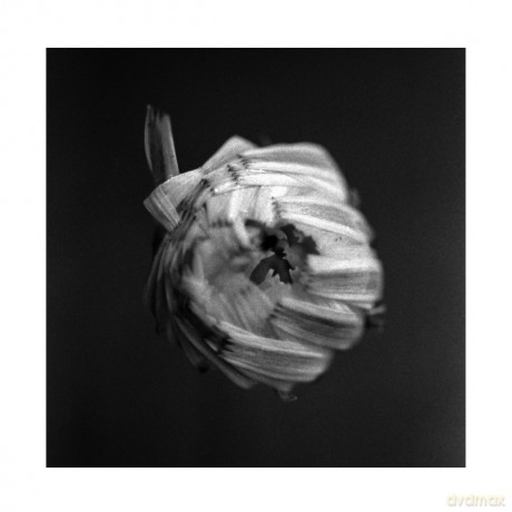 A Swarm Of The Sun: An Empire (digipack) [CD]
