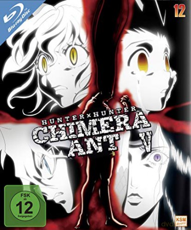 Hunter x Hunter vol. 12 [Blu-Ray]