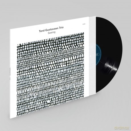Tord Gustavsen: Seeing [Winyl]