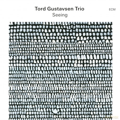 Tord Gustavsen: Seeing [Winyl]
