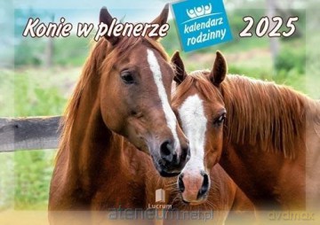 Kalendarz 2025 Rodzinny Konie w plenerze [KALENDARZ]