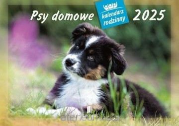 Kalendarz 2025 Rodzinny Psy domowe [KALENDARZ]