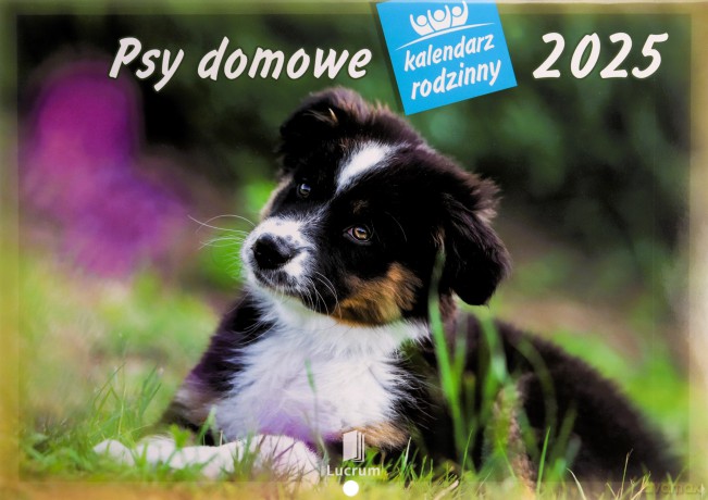 Kalendarz 2025 Rodzinny Psy domowe [KALENDARZ]