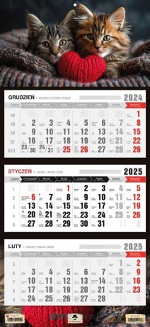 Kalendarz 2025 Trójdzielny płaska główka Kotki [KALENDARZ]