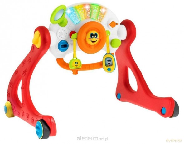 Pchacz zabawka edukacyjna 4w1