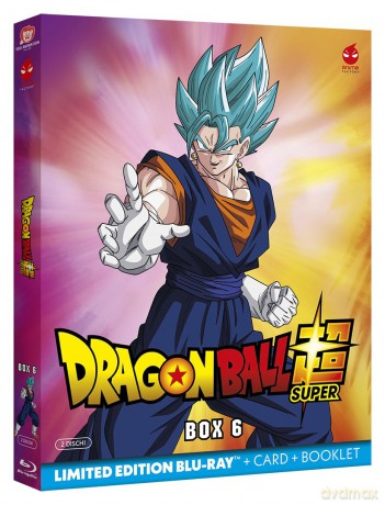 Dragon Ball Super Box 6