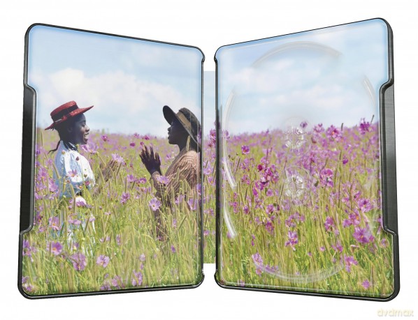 Il Colore Viola (Steelbook) (4k+Br)
