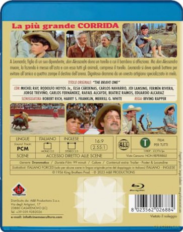 The Brave One [Blu-Ray]