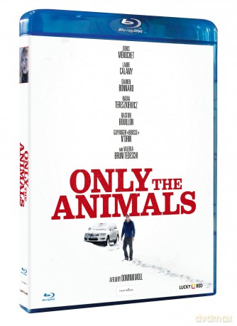 Only The Animals Storie Di Spiriti Amanti