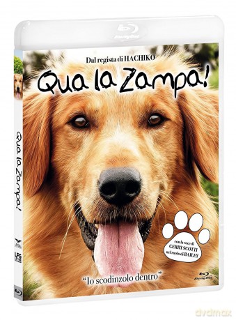 Qua La Zampa