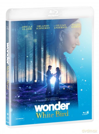 Wonder: White Bird