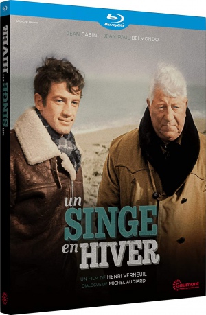 A Monkey in Winter (Małpa w zimie) [Blu-Ray]