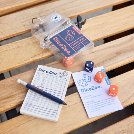 Dicezee Travel Game