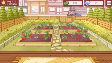 Good Pizza, Great Pizza (Code in Box) [GRA SWITCH]