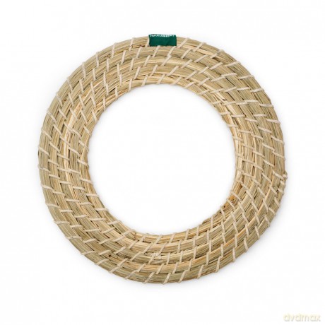 Seagrass Flying Disc