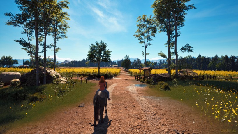 Windstorm: Start of a Great Friendship - Remastered [GRA PS5]