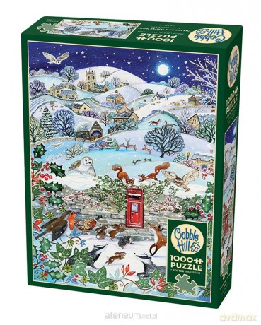 1000 el. Wieś zimową nocą [PUZZLE]