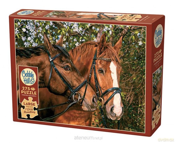 275 el. XL Przyjaciele na zawsze [PUZZLE]