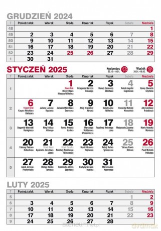 Kalendarz 2025 A5 biurkowy pionowy trójdzielny MIX [KALENDARZ]